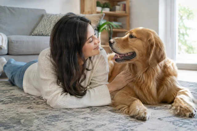 Woman Relaxing With Golden Retriever