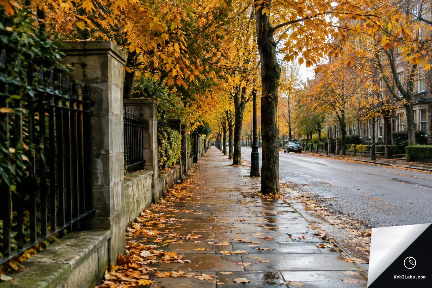 Tree-lined sidewalk on a rainy autumn day with wet paving stones, fallen leaves, a black iron fence on the left, and a quiet street with parked cars and townhouses on the right.