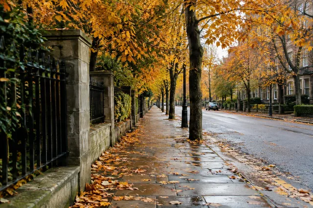 Rainy Autumn Street Leading Line