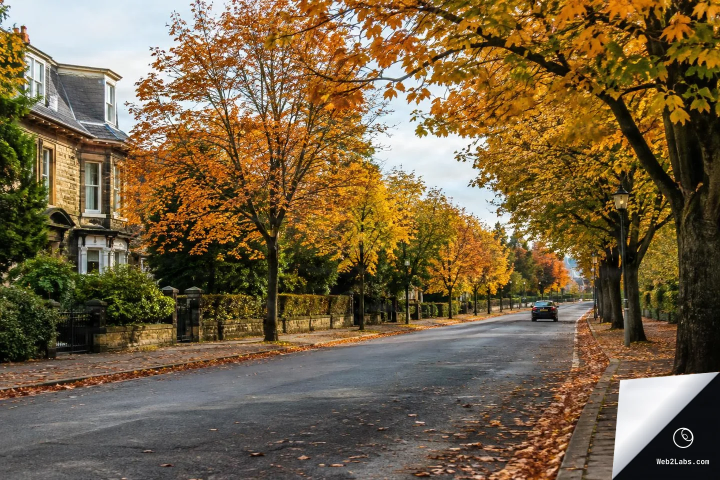 A quiet residential road bordered by stone houses and sidewalks, lined with tall trees in orange and yellow autumn foliage, with fallen leaves along the curb and a car driving away in the distance.