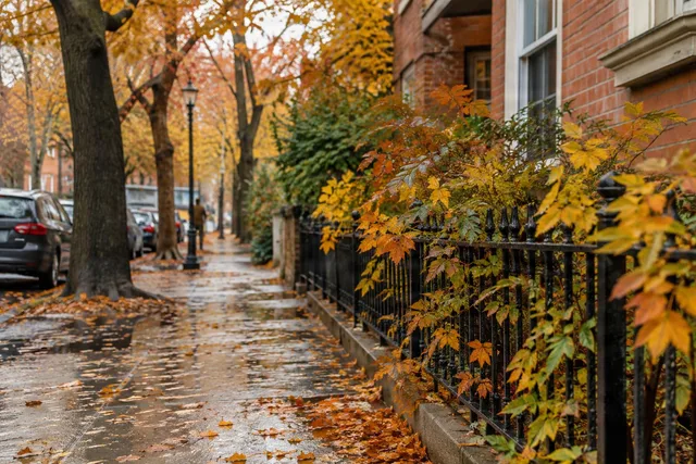 Rainy Autumn Sidewalk B-roll