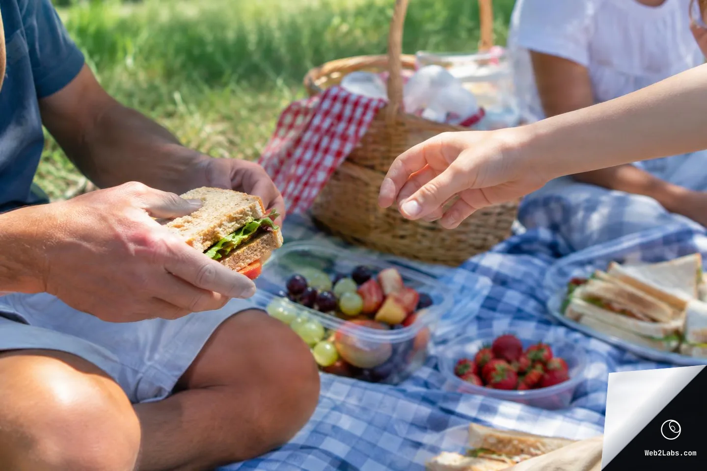 Close-up of two people's hands during a picnic, one holding a sandwich while another reaches to take it, with fruit containers, strawberries, and a picnic basket on a blanket outdoors.