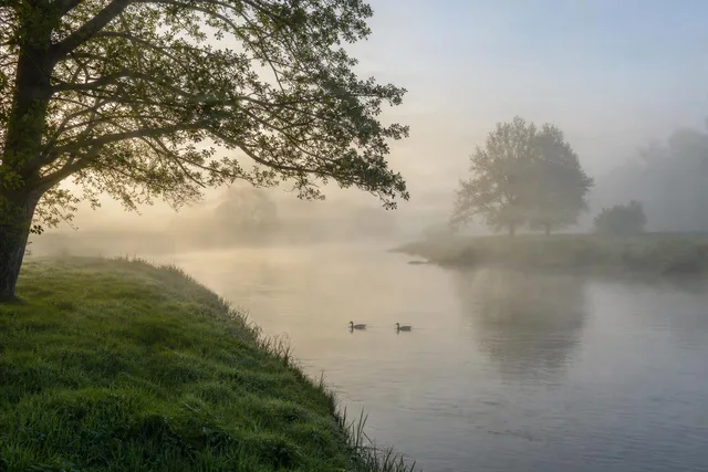 Foggy Morning River Bend