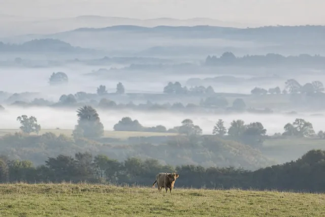 Misty Valley Layers at Dawn