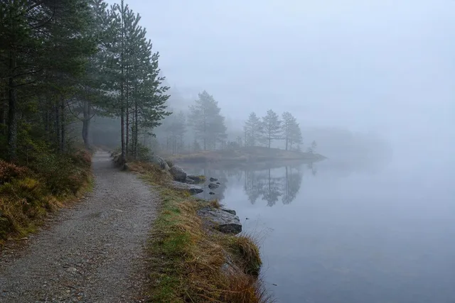 Foggy Lakeside Trail Morning