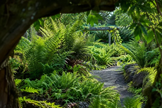 Fern Garden Path Framed by Leaves