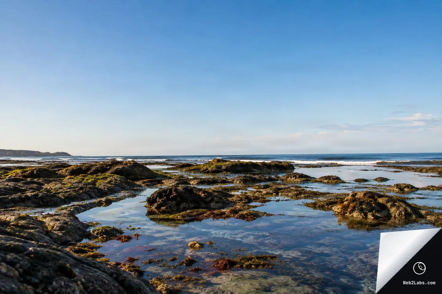 Rocky shoreline with shallow tidal pools reflecting the blue sky, patches of seaweed on the rocks, gentle waves in the distance, and a wide clear sky above.