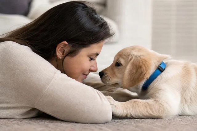 Quiet Bond With Puppy