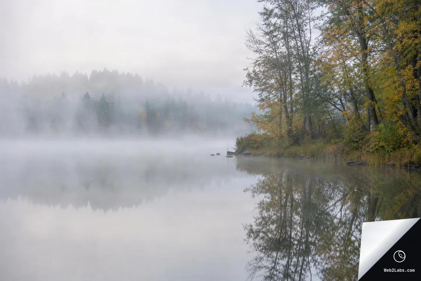 Dense morning fog over a calm lake with a forested shoreline on the right and faint tree silhouettes in the distance, reflected in still water.