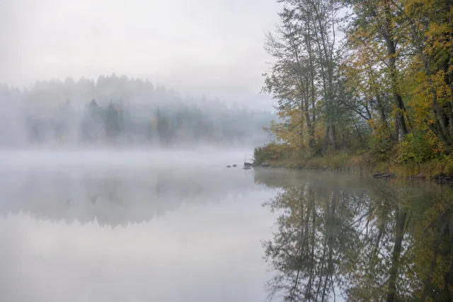 Foggy Morning Lake Shoreline