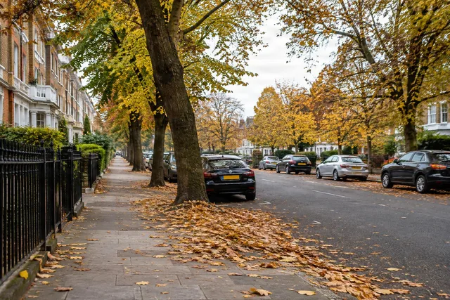 Quiet Autumn Residential Street