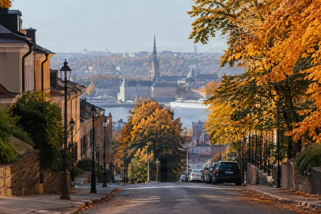 Autumn Street View Over City