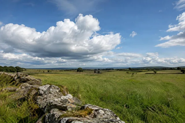 Cumulus Clouds Over Open Fields