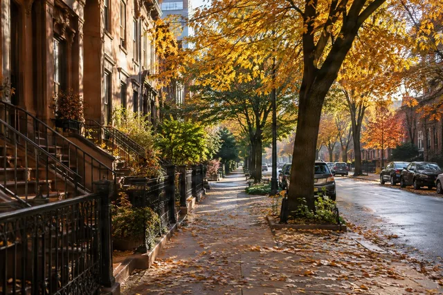 Sunlit Autumn Street With Brownstones