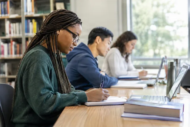 Students Studying Side View