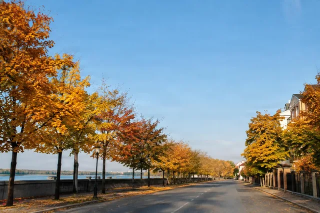 Autumn Riverside Street With Open Sky