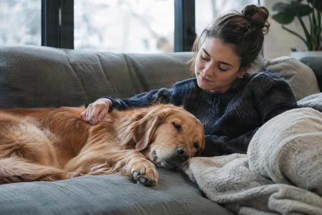 Woman Cuddling Sleeping Golden Retriever