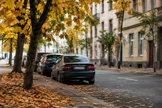 Quiet Autumn Street With Parked Cars