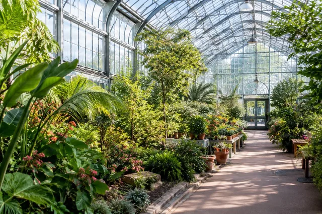 Sunlit Botanical Greenhouse Walkway