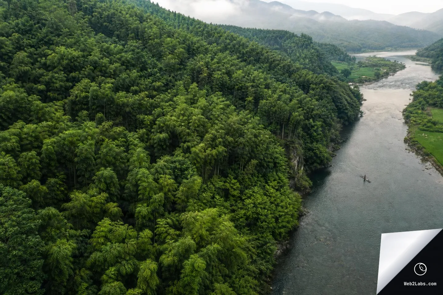 Aerial view of lush bamboo groves covering rolling hills beside a wide river, with misty mountains and a cloudy sky in the background.