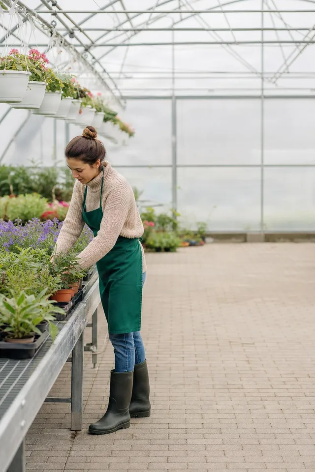 Greenhouse Worker Tending Seedlings