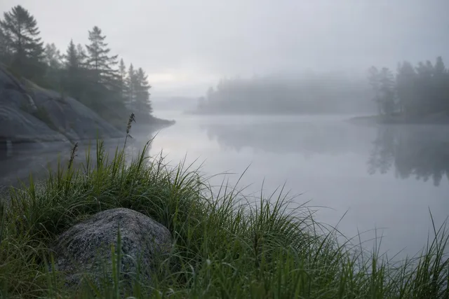Misty Lake Shore at Dawn