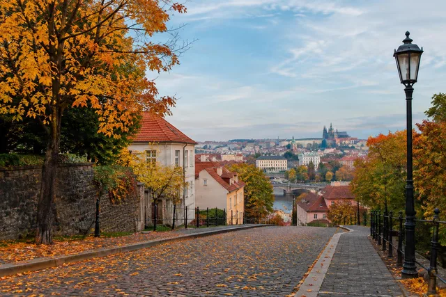Autumn Street Overlook Cityscape