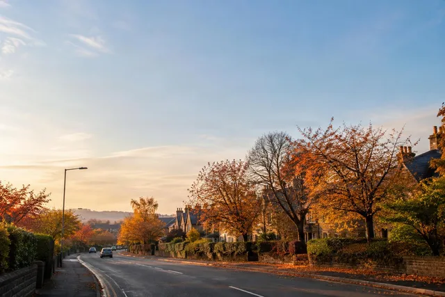 Autumn Residential Street With Open Sky