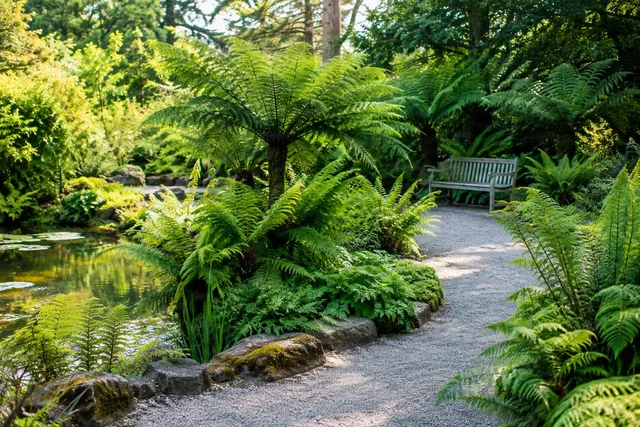 Sunlit Fern Garden Path
