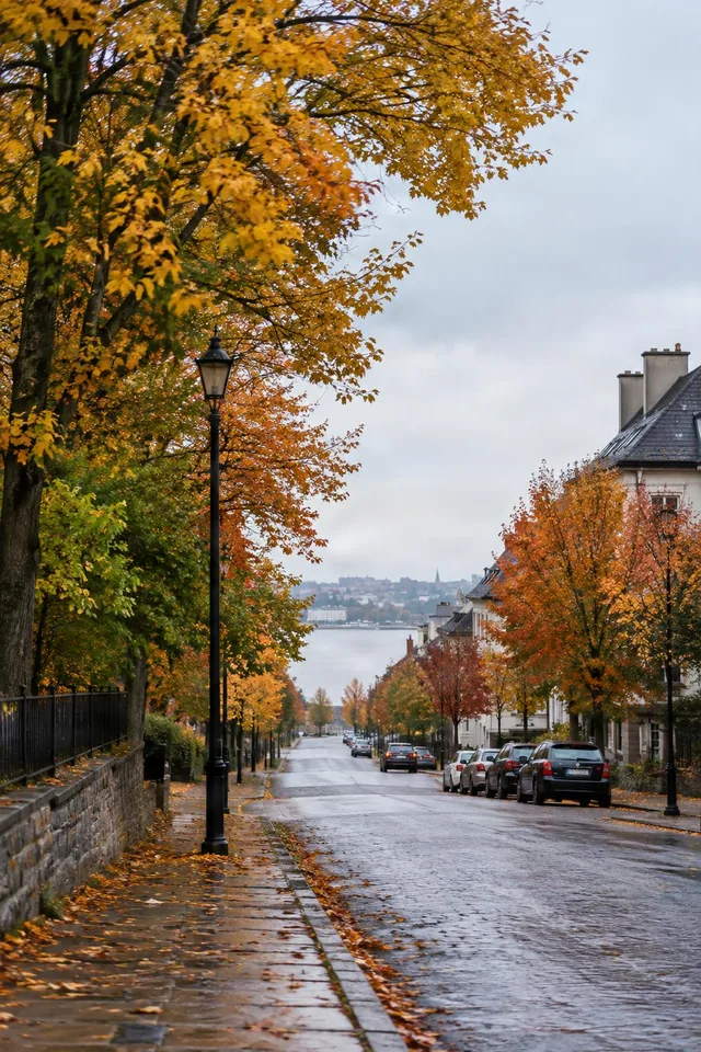 Rainy Autumn Street Overlook