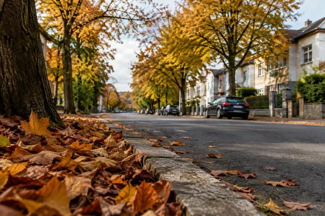 Low-Angle Autumn Street Curb