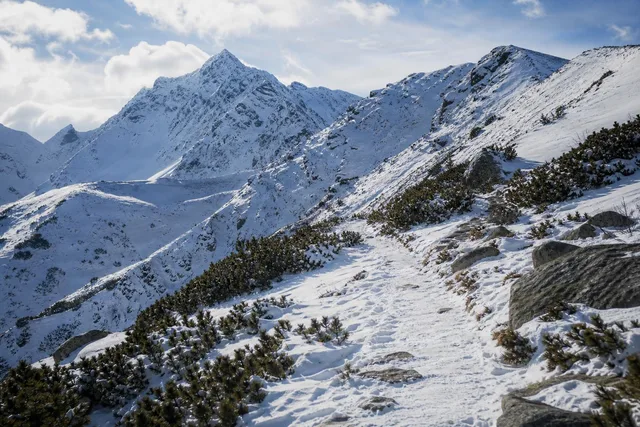 Snowy Ridge Trail to Peaks