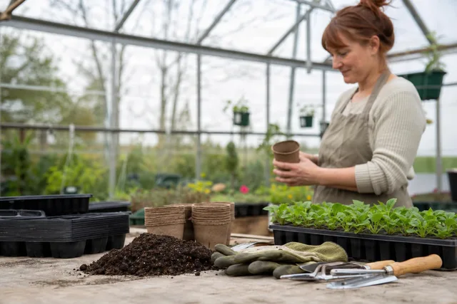 Greenhouse Potting Tools Ready