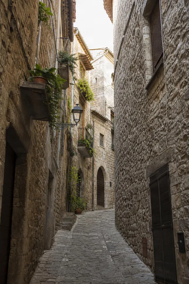 Vertical Stone Alleyway View
