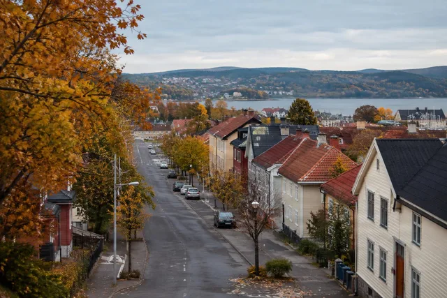Elevated Autumn Street Overlook