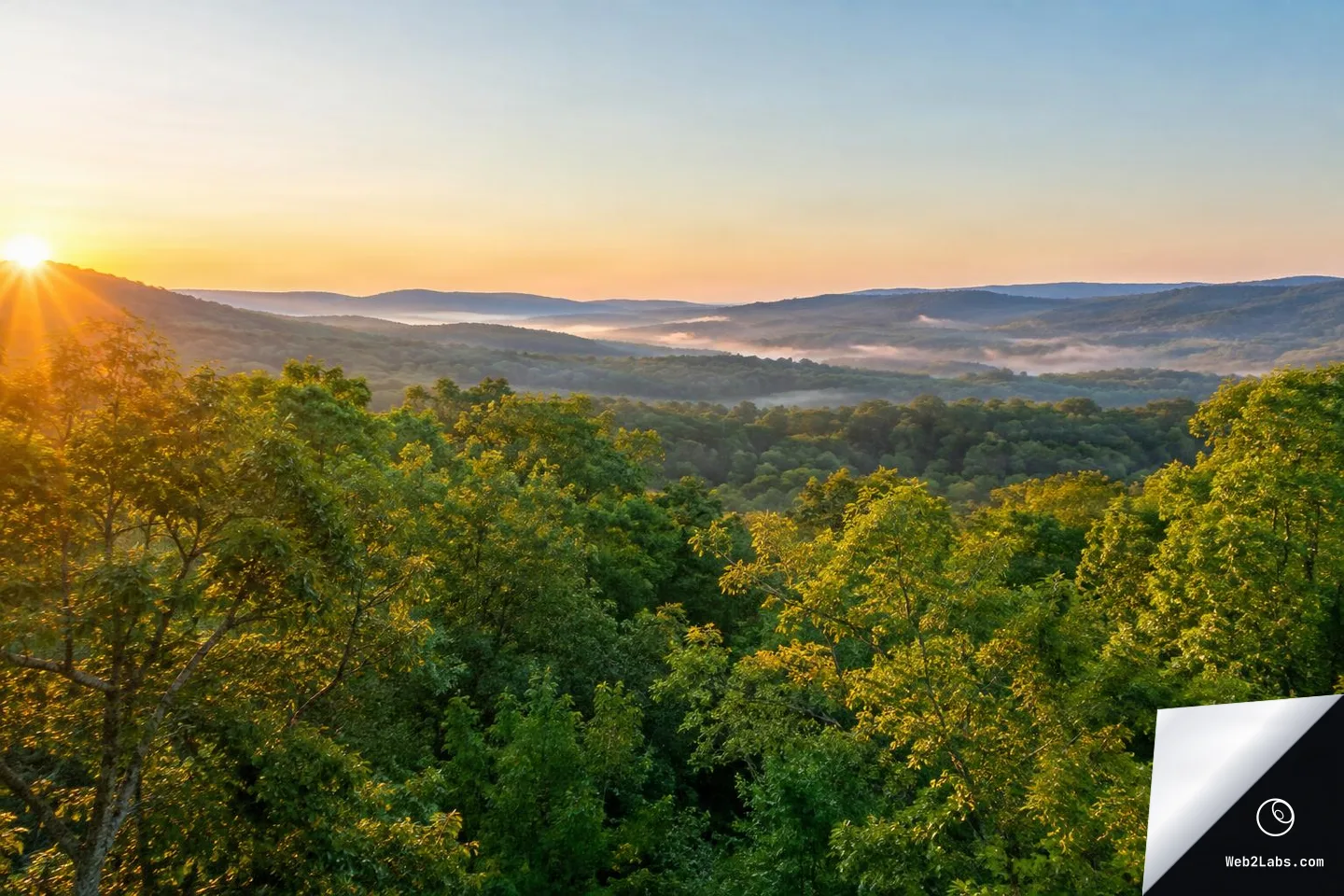 Golden sunrise at the left edge of the frame shining over a dense green forest canopy in the foreground, with layered hills and light valley mist under a clear sky.