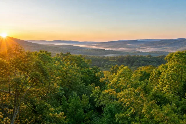 Sunrise Over Forest Canopy Hills