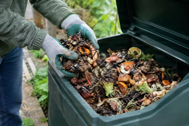 Hands Sorting Kitchen Compost