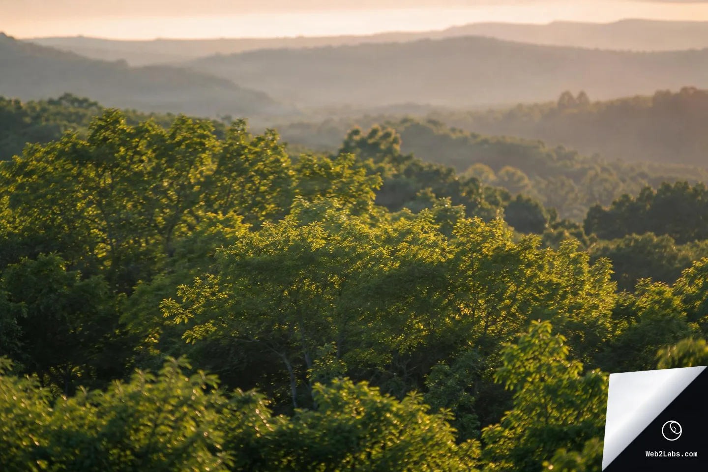 Sunlit green tree canopies in the foreground with multiple hazy, layered hills receding into the distance under warm golden-hour light.