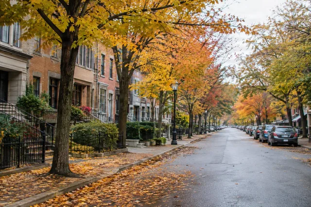 Quiet Autumn Residential Street