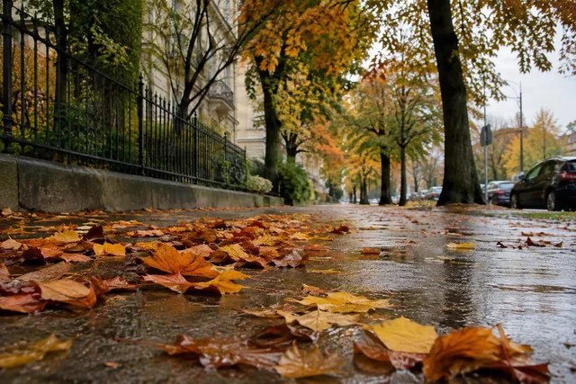 Rainy Autumn Sidewalk Low Angle