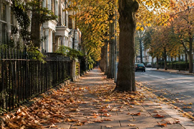 Sunlit Autumn Street Sidewalk