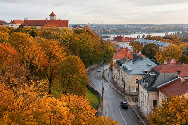 Elevated Autumn Street Overlook