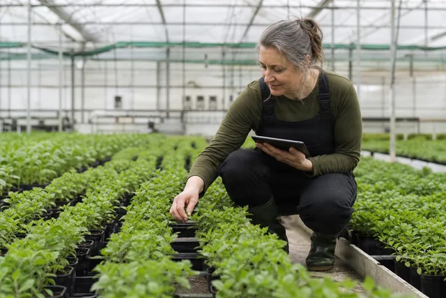 Greenhouse Grower Checking Seedlings