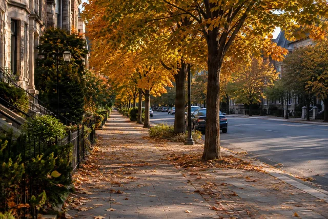 Golden Autumn Street Walkway