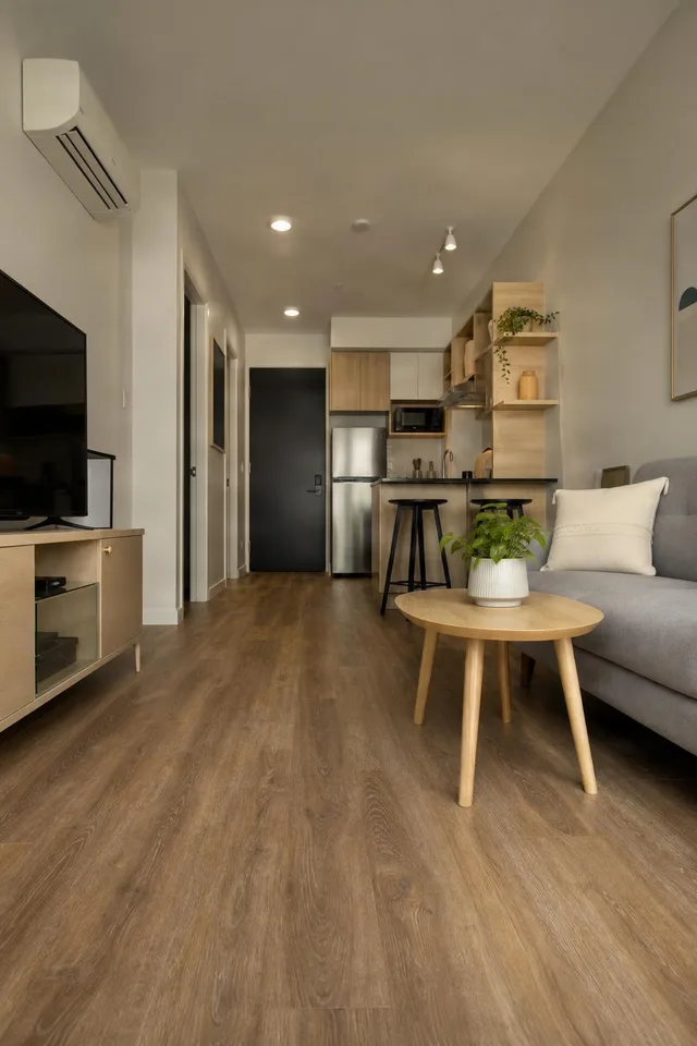 Compact Studio Living Room View
