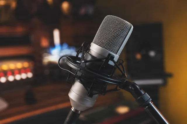 Studio Condenser Microphone Close-Up