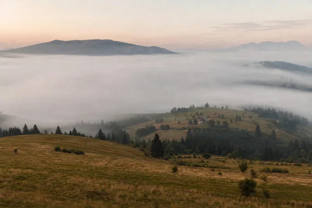 Foggy Morning Hillside Panorama